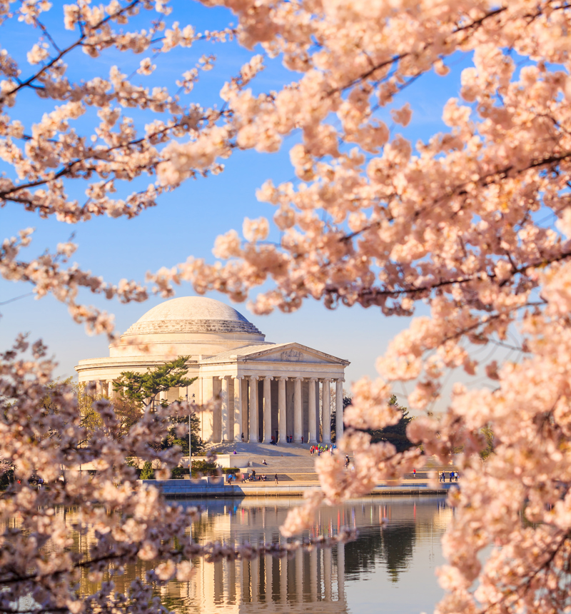 Jefferson Memorial