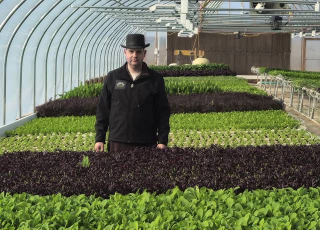 Nurturing Local Freshness
