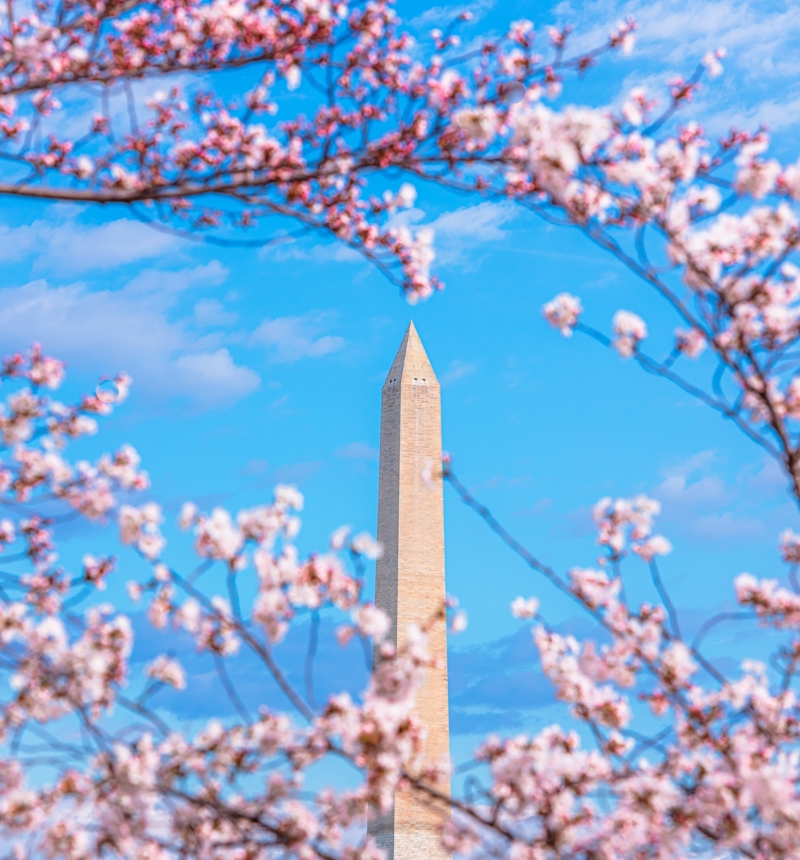 Washington Monument