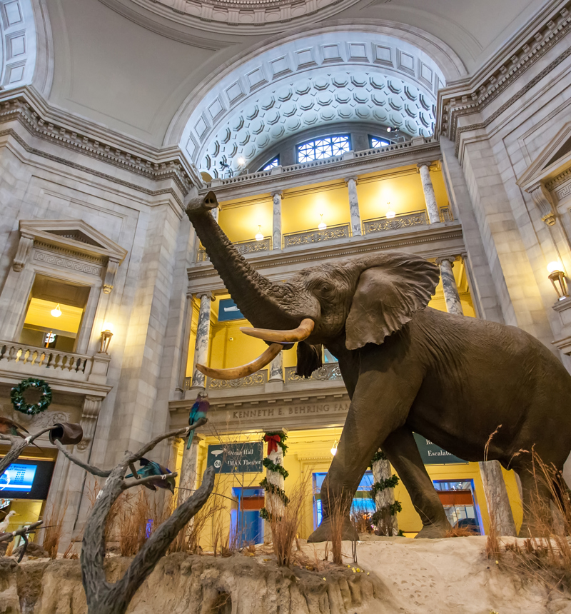 National Museum of Natural History 
